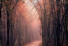 九游:火记发文:湖人就是在耍赖,他们通过叫嚷和耍脾气才获得了两次罚球.