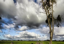 九游：[天下足球]凯恩戴帽 拜仁横扫美因茨.