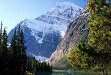 九游:曝国足曾欲归化塔利斯卡!年薪900万美金 中超无人买单.