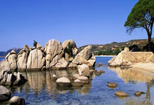 九游:欧国联-意大利vs德国首发:基米希、萨内先发 巴雷拉、托纳利出战.